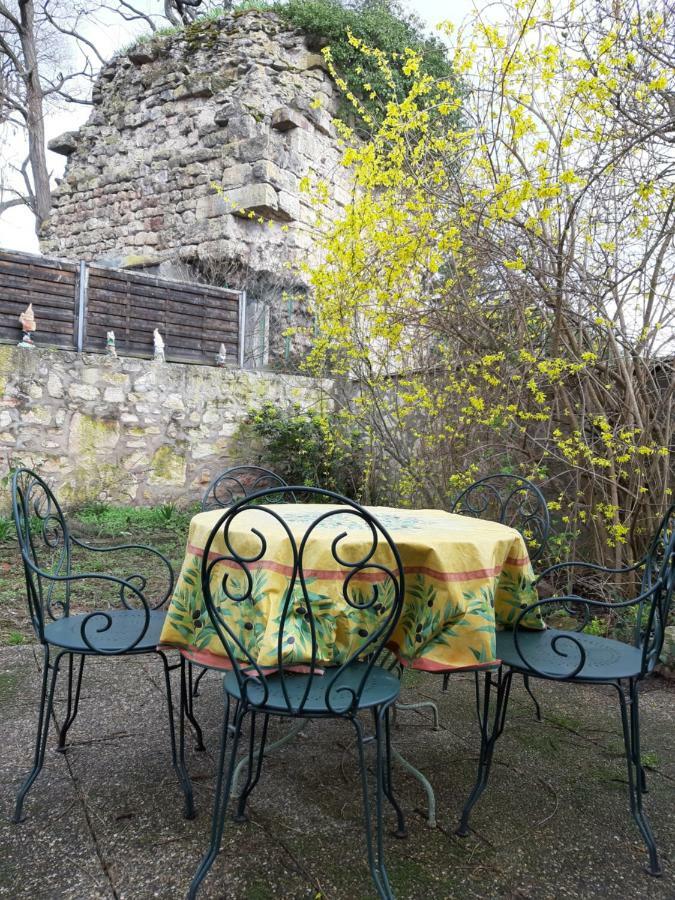 La Maison Fleurie Gites Du Florimont Ingersheim Εξωτερικό φωτογραφία